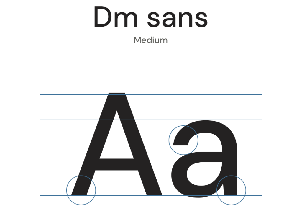 DM Sans